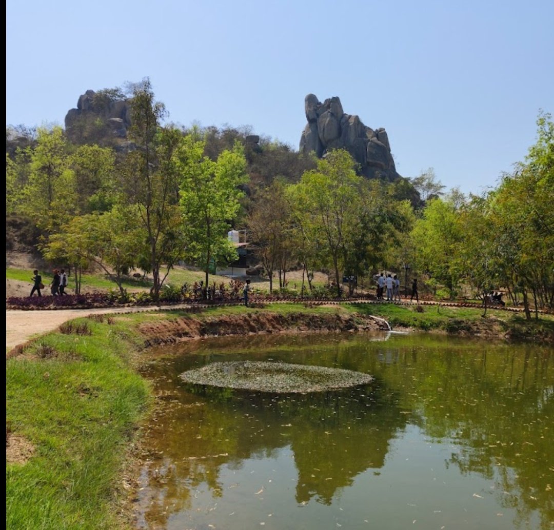 Tree Plantation Drive